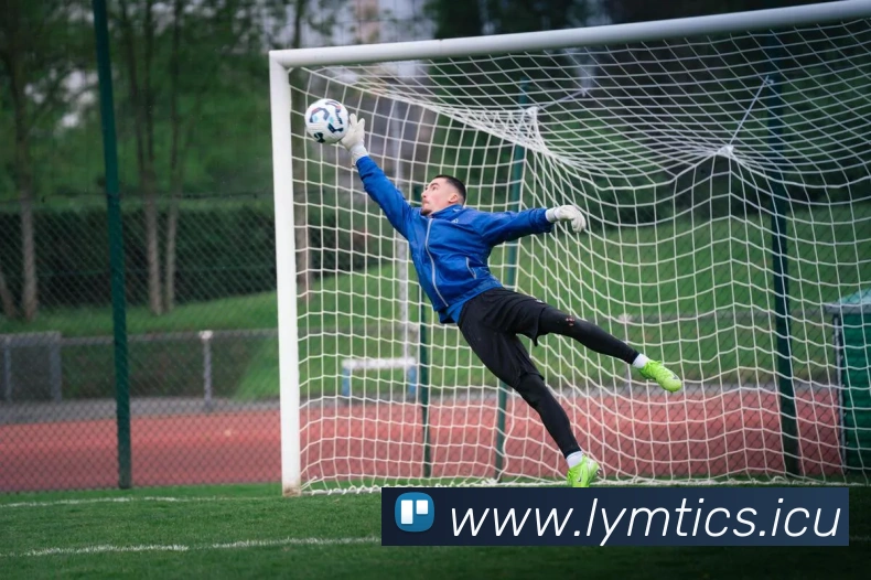 九游j9官网活动入口服务体系